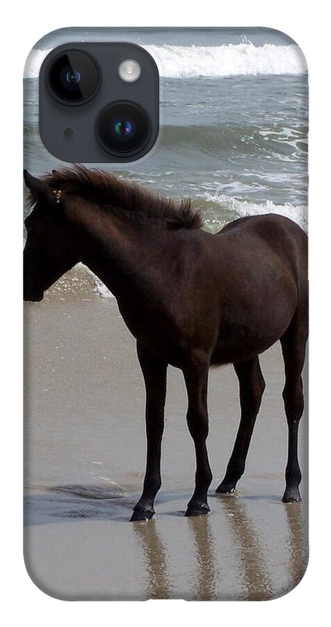 Foal iPhone 14 Case featuring the photograph Thinking About It by Kim Galluzzo Wozniak