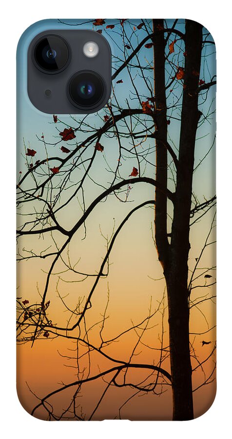 Landscape iPhone 14 Case featuring the photograph To The Morning by Joye Ardyn Durham
