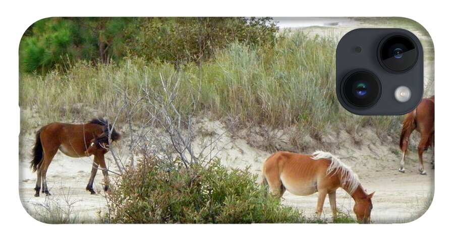Wild iPhone 14 Case featuring the photograph Wild Spanish Mustangs of the Outer Banks of North Carolina by Kim Galluzzo
