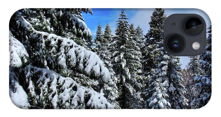 Snow iPhone Case featuring the photograph Yosemite Snow by Sue Karski
