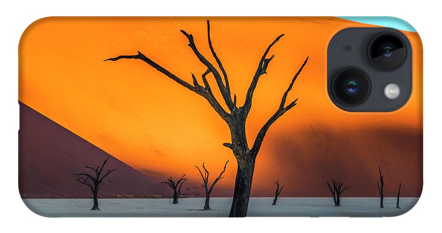 Deadvlei iPhone 14 Case featuring the photograph Beauty lives forever. #2 by Usha Peddamatham
