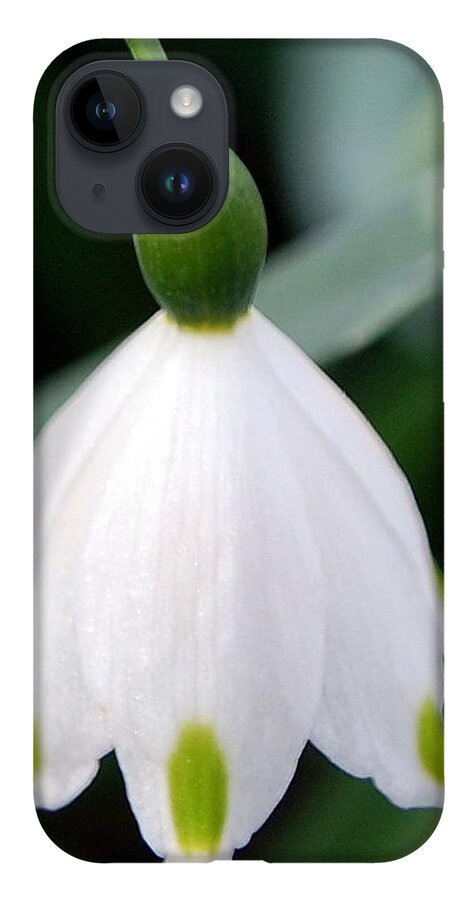 Bell Flower iPhone 14 Case featuring the photograph Bell Flower #1 by Amy Fose