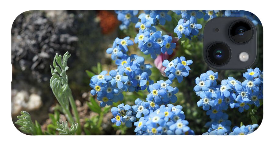 Flowers iPhone 14 Case featuring the photograph Blue in Green #1 by Ivan Franklin