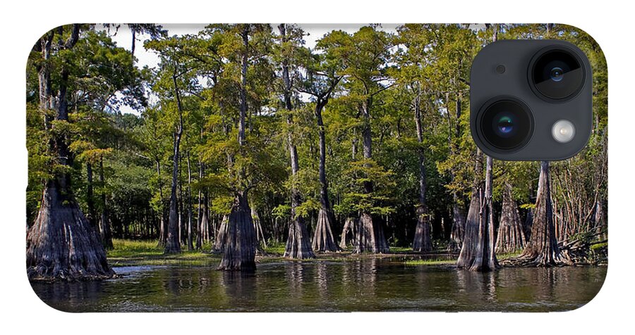 Cypress iPhone 14 Case featuring the photograph Cypress on the Suwannee by Farol Tomson
