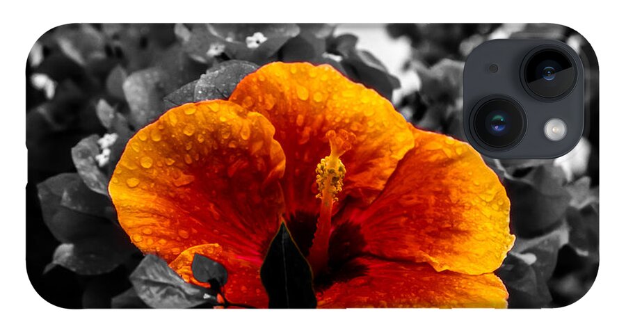 Flower iPhone 14 Case featuring the photograph Hibiscus Beauty by Randy Sylvia