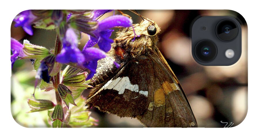 Macro Photography iPhone Case featuring the photograph Moth snack by Meta Gatschenberger
