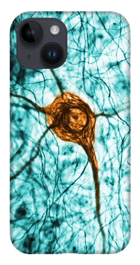 Cell iPhone 14 Case featuring the photograph Neuron, Tem by Science Source