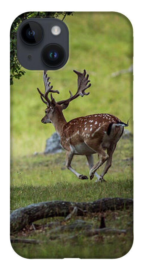 Four Fallow Deer Bucks iPhone Case featuring the photograph On the run by Torbjorn Swenelius