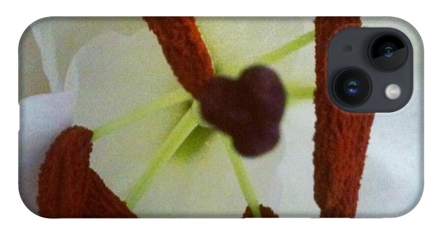 Flower iPhone 14 Case featuring the photograph Peek by Denise Railey