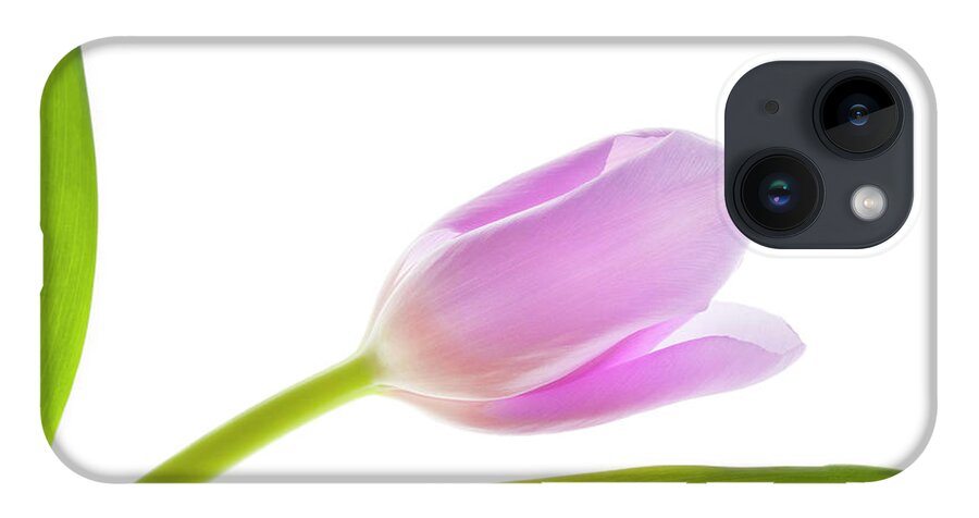 Tulip iPhone 14 Case featuring the photograph Spring Has Sprung by Patty Colabuono