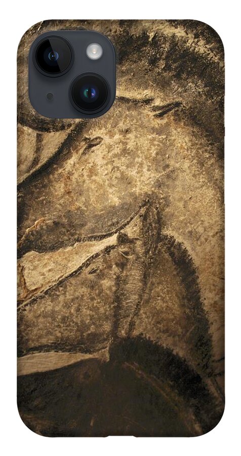 Animal iPhone Case featuring the photograph Stone-age Cave Paintings, Chauvet, France by Javier Truebamsf