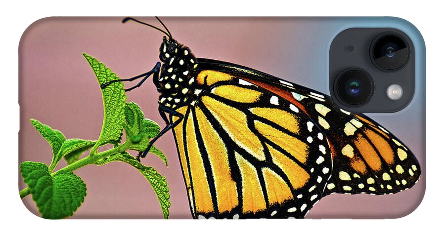 Insect iPhone 14 Case featuring the photograph Taking A Break #1 by Christopher Holmes