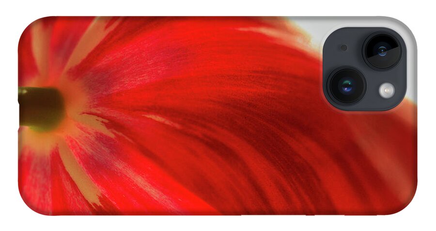 Tulip iPhone 14 Case featuring the photograph Tulip #1 by Kevin Schwalbe