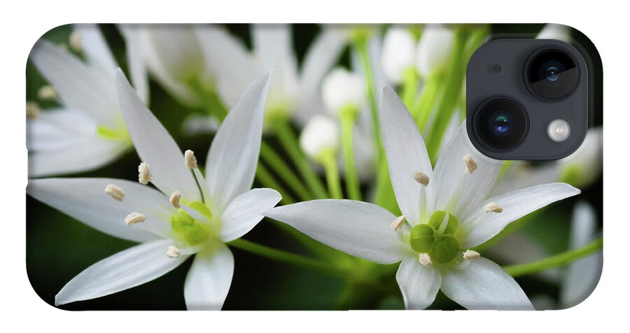 Wild Garlic iPhone 14 Case featuring the photograph Wild Garlic #1 by Nick Bywater