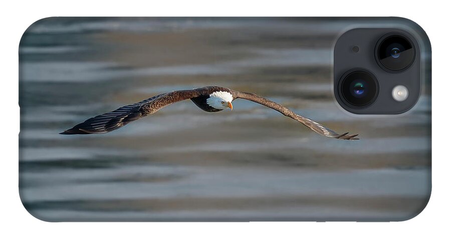 Illinois iPhone Case featuring the photograph Bald Eagle by Peter Lakomy