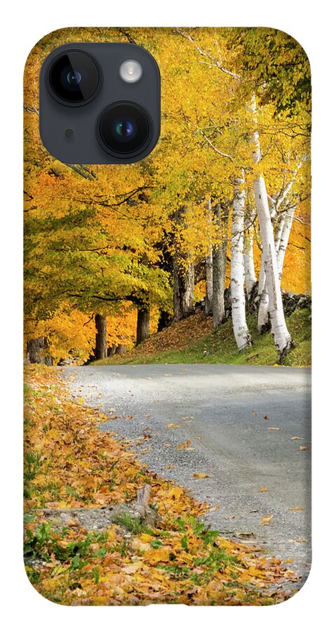 Autumn Birches iPhone 14 Case featuring the photograph Autumn Road #2 by Tom Singleton