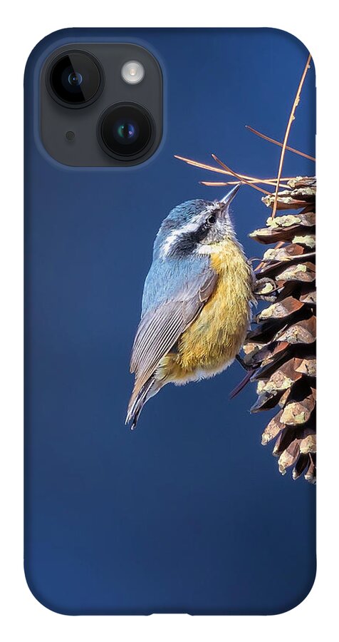Adorable iPhone Case featuring the photograph Black-capped Chickadee by Peter Lakomy