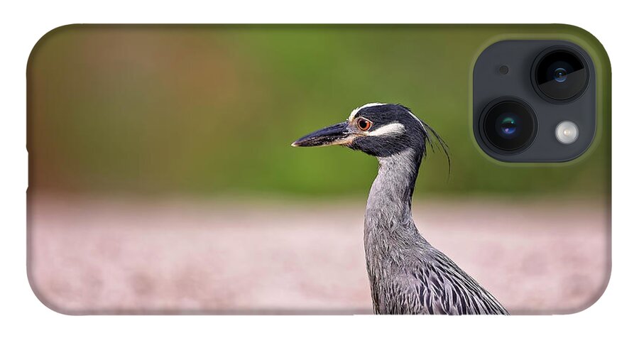 Animal iPhone Case featuring the photograph Green Heron by Peter Lakomy