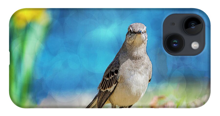 Avian iPhone 14 Case featuring the photograph Mockingbird by Cathy Kovarik