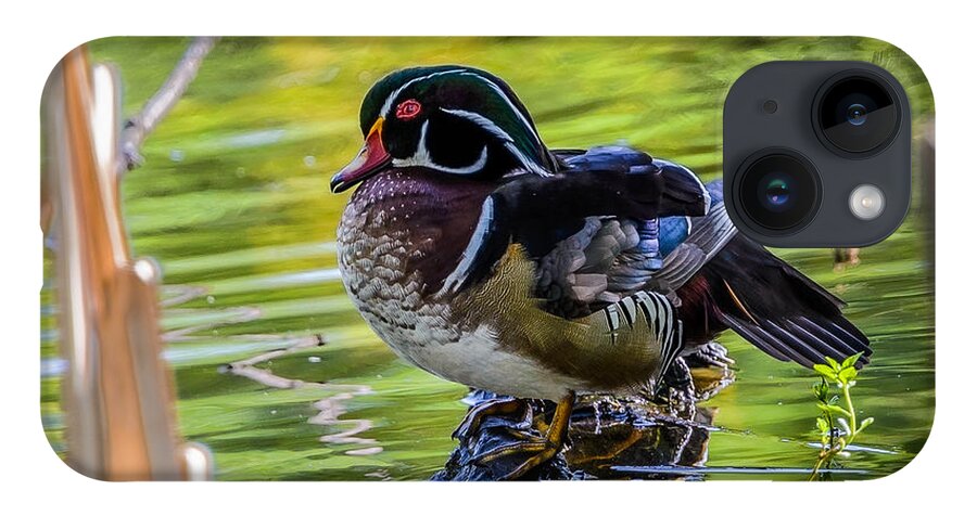 Wood Duck iPhone 14 Case featuring the photograph Wood Duck by Jerry Cahill