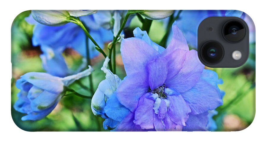 Larkspur iPhone 14 Case featuring the photograph 2015 Mid September at the Garden Larkspur 2 by Janis Senungetuk