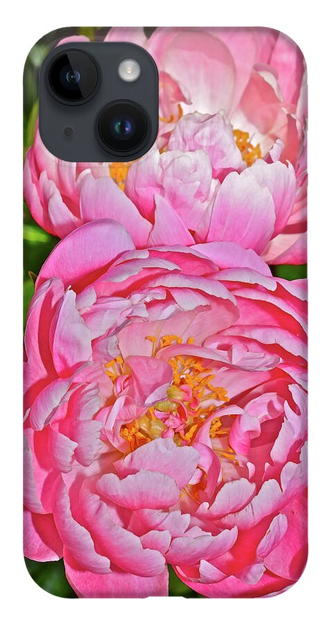 Peonies iPhone 14 Case featuring the photograph 2016 Early June Coral Supreme Peonies by Janis Senungetuk
