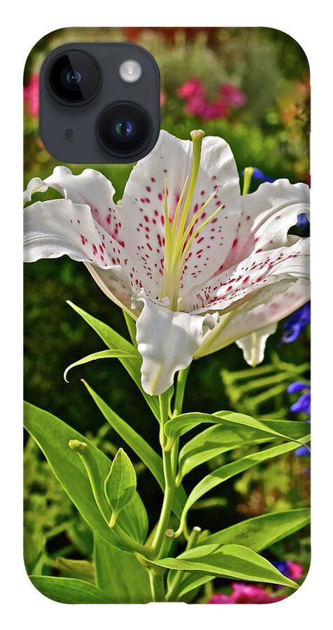 Oriental Lilies iPhone 14 Case featuring the photograph 2016 Late August at the Garden White Lily by Janis Senungetuk