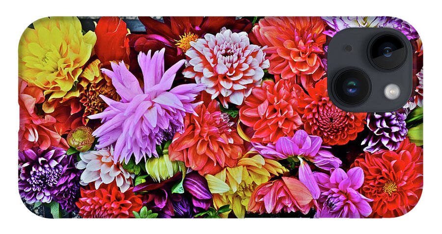 Dahlias iPhone 14 Case featuring the photograph 2016 Monona Farmer's Market Dahlias Display by Janis Senungetuk