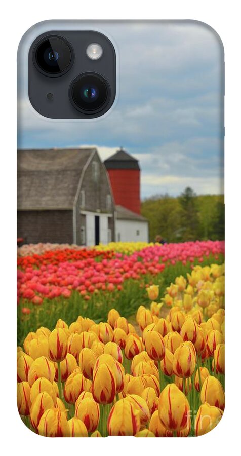 Keywords:tulips iPhone 14 Case featuring the photograph 2017 Wicked Awesome Tulips II by Tammie Miller