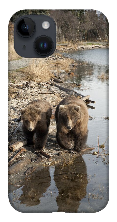 Mp iPhone 14 Case featuring the photograph Grizzly Bear Ursus Arctos Horribilis #21 by Matthias Breiter