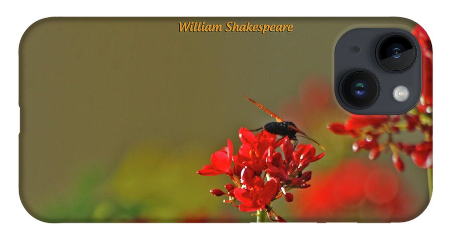 William Shakespeare iPhone Case featuring the photograph 28- The more I give to thee by Joseph Keane