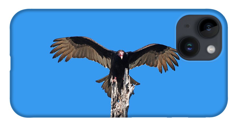 Turkey Vulture iPhone Case featuring the photograph 29- Turkey Vulture by Joseph Keane