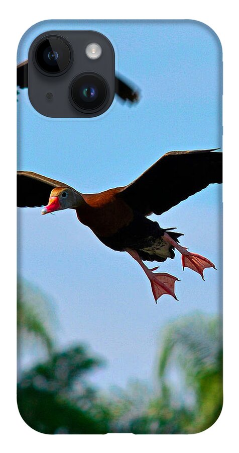 Birds iPhone Case featuring the photograph 3 D by Alison Belsan Horton