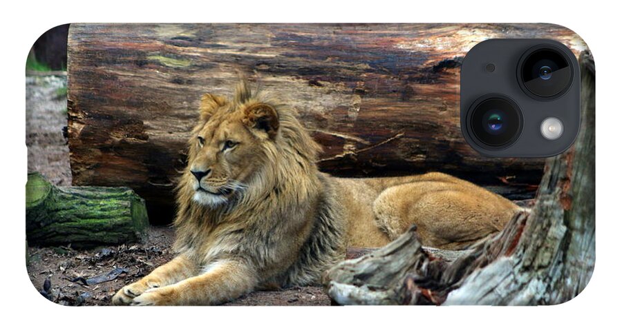 Hannover Zoo Germany iPhone 14 Case featuring the photograph Hannover Zoo GERMANY by Paul James Bannerman