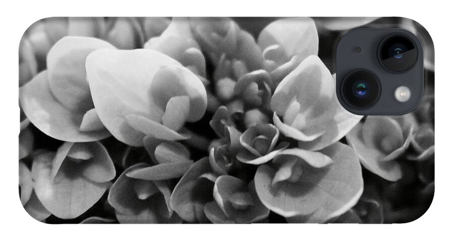 Black And White Flowers iPhone 14 Case featuring the photograph Flowers by Deena Withycombe