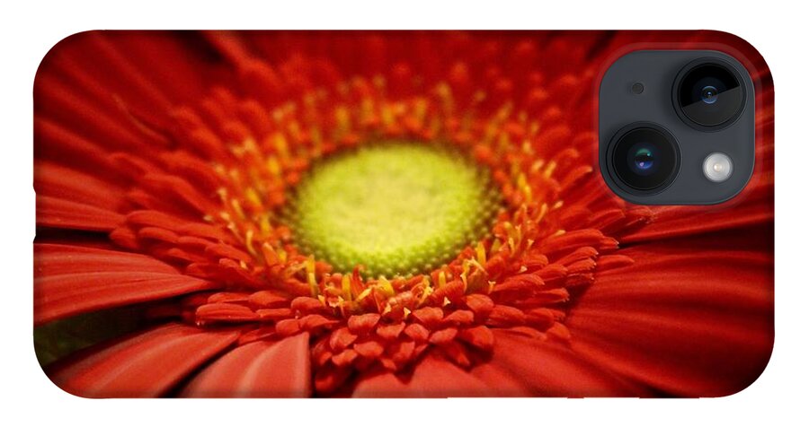 Gerber Daisy iPhone 14 Case featuring the photograph Flowers by Deena Withycombe