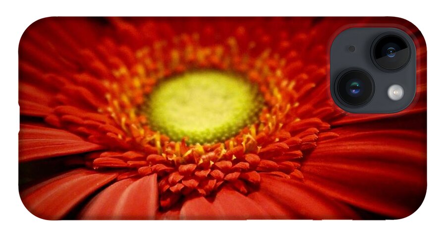 Gerber Daisy iPhone 14 Case featuring the photograph Flowers #36 by Deena Withycombe