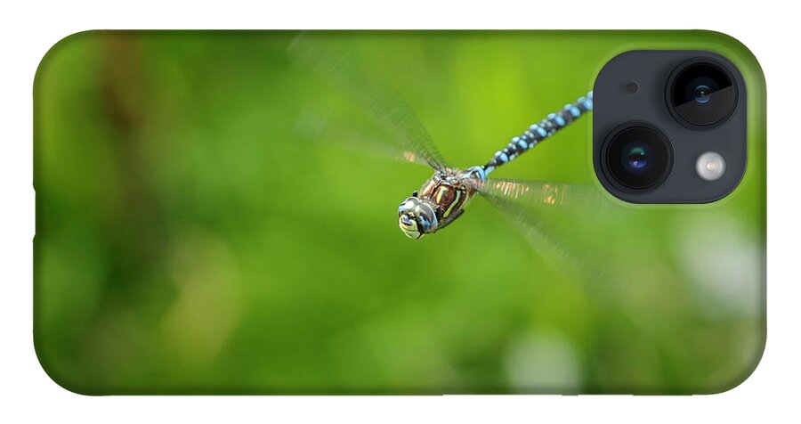 Dragonfly iPhone Case featuring the photograph Emperor Dragonfly by Rick Deacon