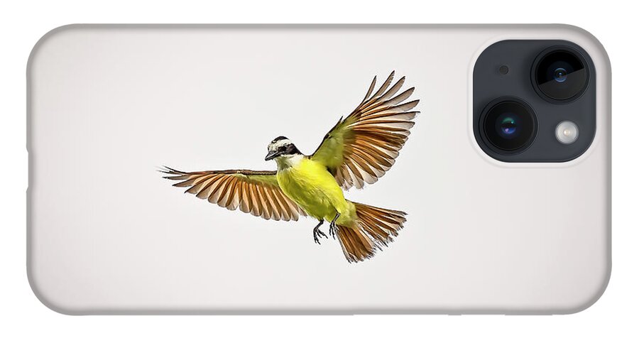 Animal iPhone 14 Case featuring the photograph Great Crested Flycatcher #4 by Peter Lakomy