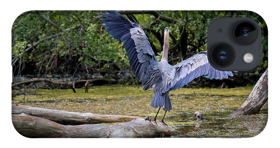 Animal iPhone 14 Case featuring the photograph Blue Heron #5 by Peter Lakomy