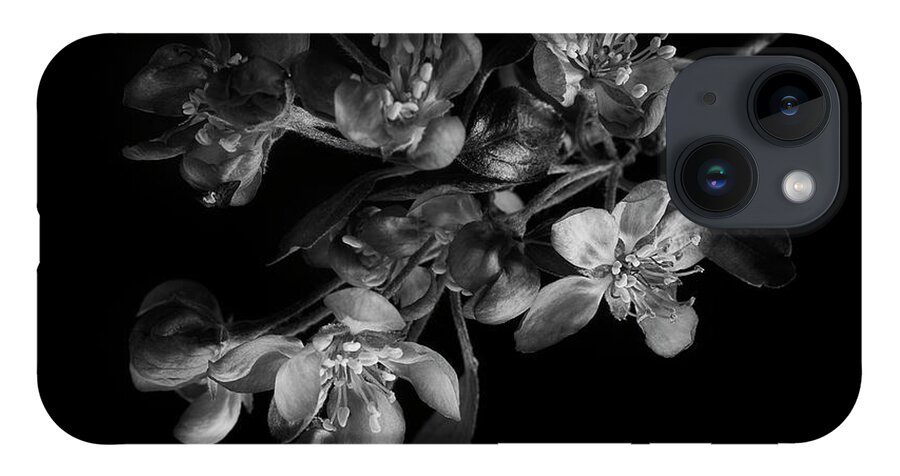 Flower iPhone 14 Case featuring the photograph A Black And White Spring by Mike Eingle