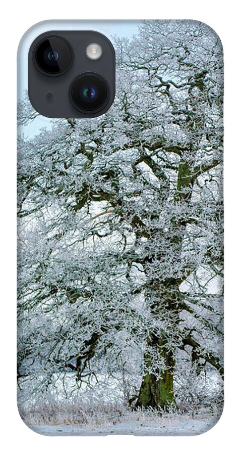 A Frosty Grand Old Oak iPhone 14 Case featuring the photograph A Frosty Grand Old Oak by Torbjorn Swenelius