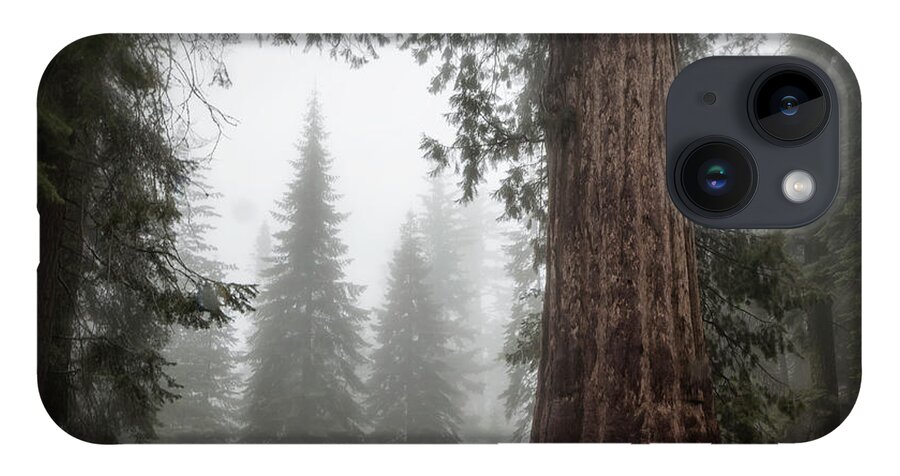 Sequoias iPhone 14 Case featuring the photograph A Giant in the Fog by Belinda Greb