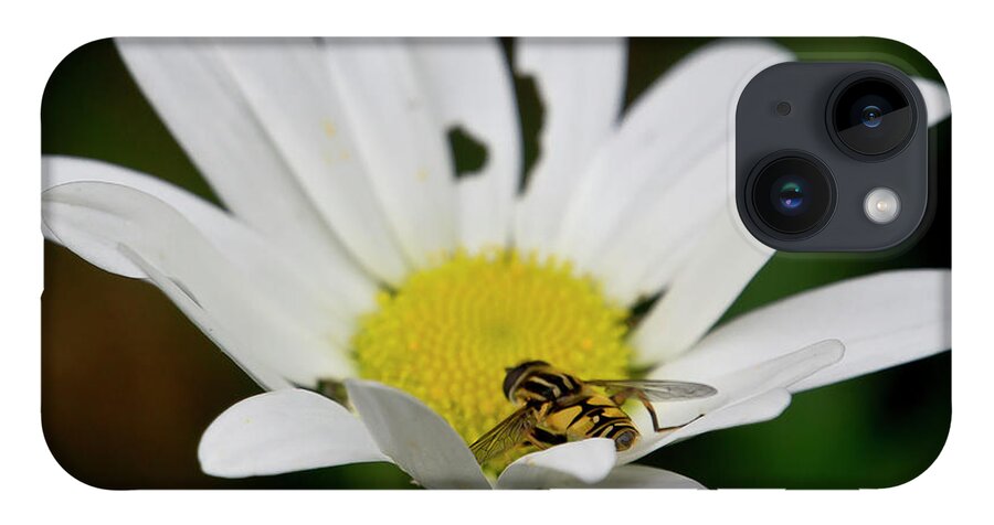 Nature iPhone Case featuring the photograph A Hoverfly and a Daisy by Elena Perelman