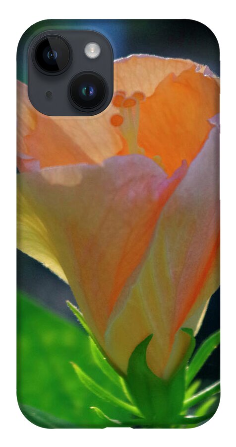 Nature iPhone 14 Case featuring the photograph A new day. by Bess Carter
