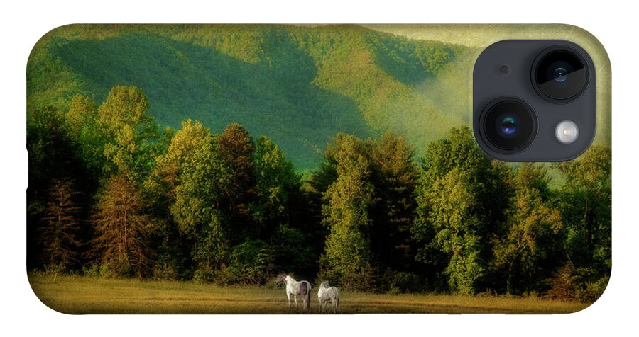 Cades Cove iPhone 14 Case featuring the photograph A Pair by Mike Eingle