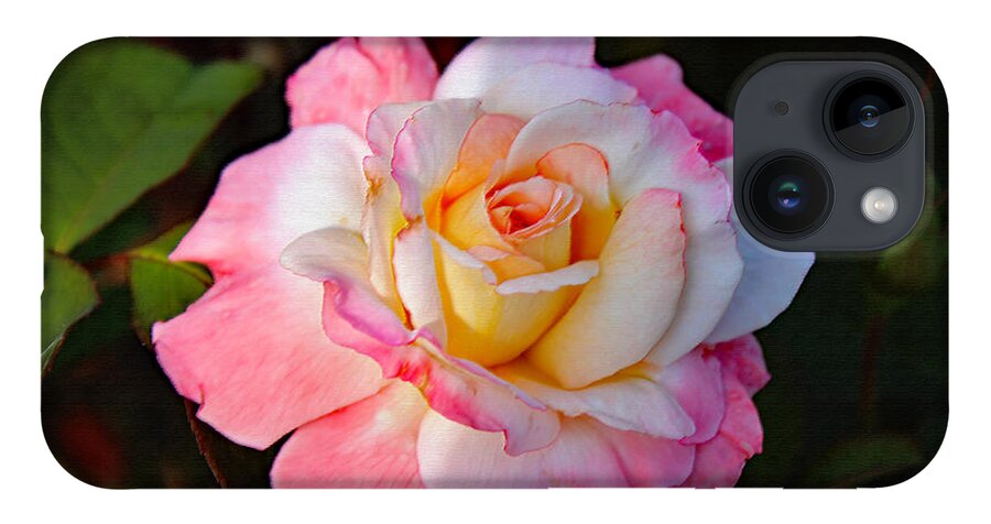 Art iPhone 14 Case featuring the photograph A Rose For You by DB Hayes