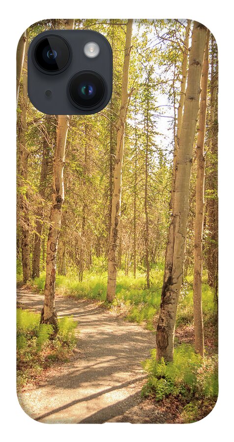 Alaska iPhone 14 Case featuring the photograph A Sunny Day Hiking in Denali by Joni Eskridge