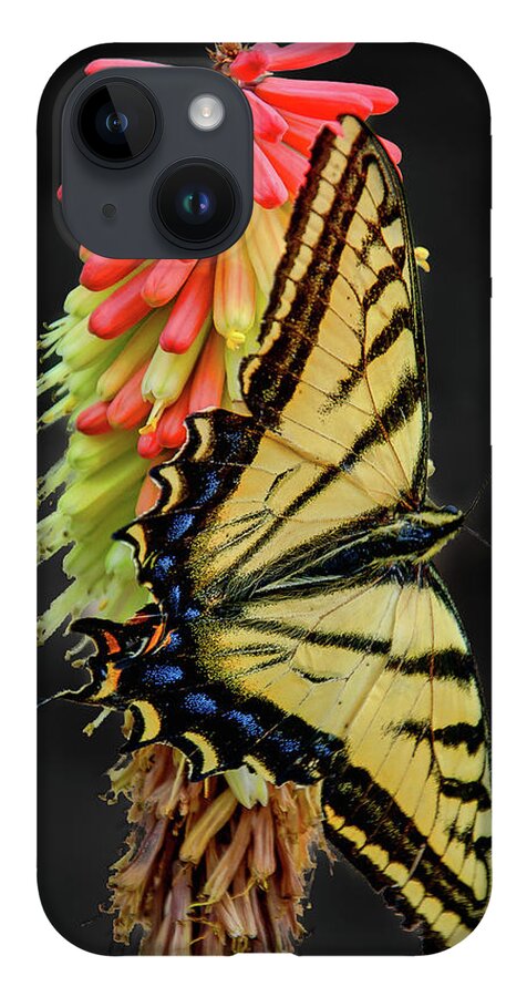 Flower iPhone 14 Case featuring the photograph A Tiger on A Poker by Britt Runyon