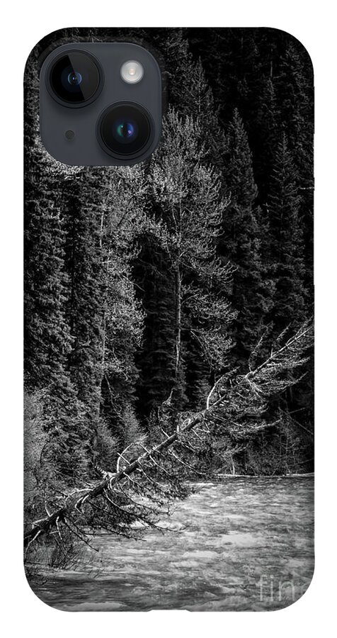 Trees iPhone 14 Case featuring the photograph Above water by David Hillier